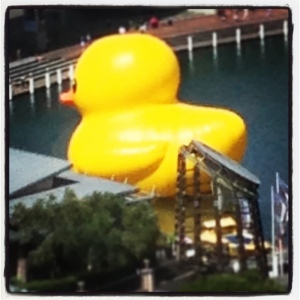 Giant yellow duck on Sydney Harbour.  Maybe I have really gone crazy?